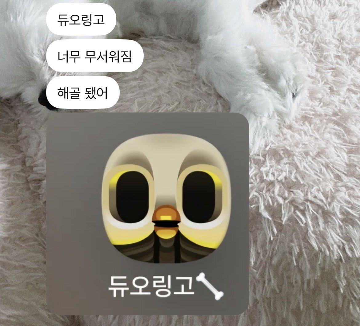 kkang07_'s tweet photo. 아니 개웃겨처음봄
강우진 듀오링고 해골될정도로안함 https://t.co/K8RGn2UBOL