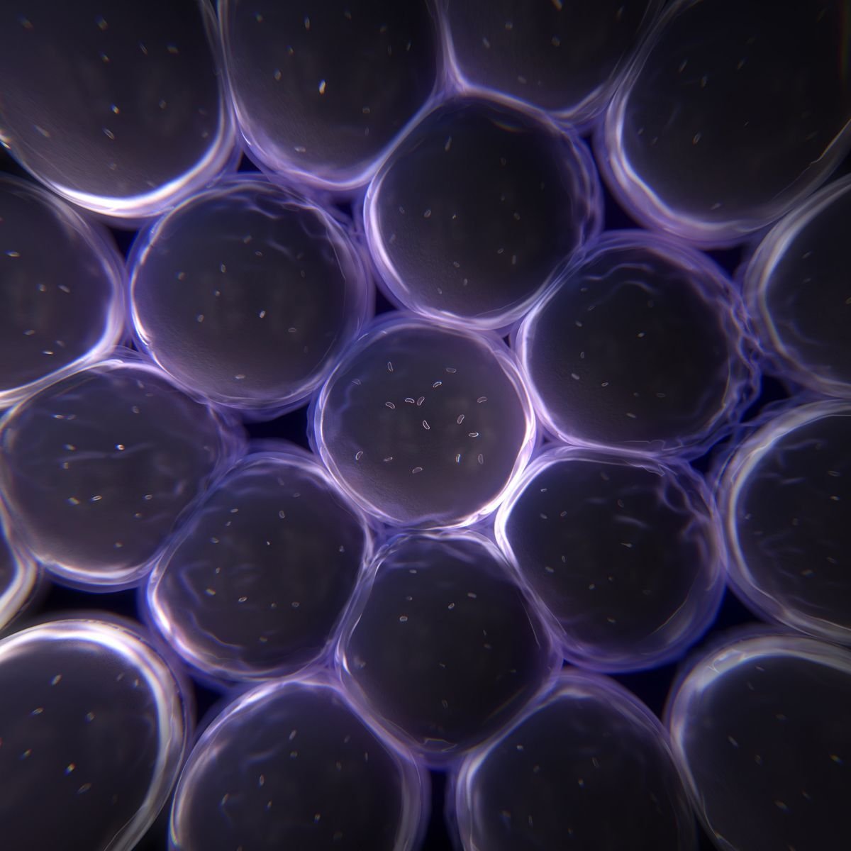 NightSkyToday's tweet photo. 🚨: Japanese biologist Yoshinori Ohsumi won the Nobel Prize for discovering the mechanism by which the body cleanses itself by "eating" its damaged cells when starved. https://t.co/h020QOBTv6