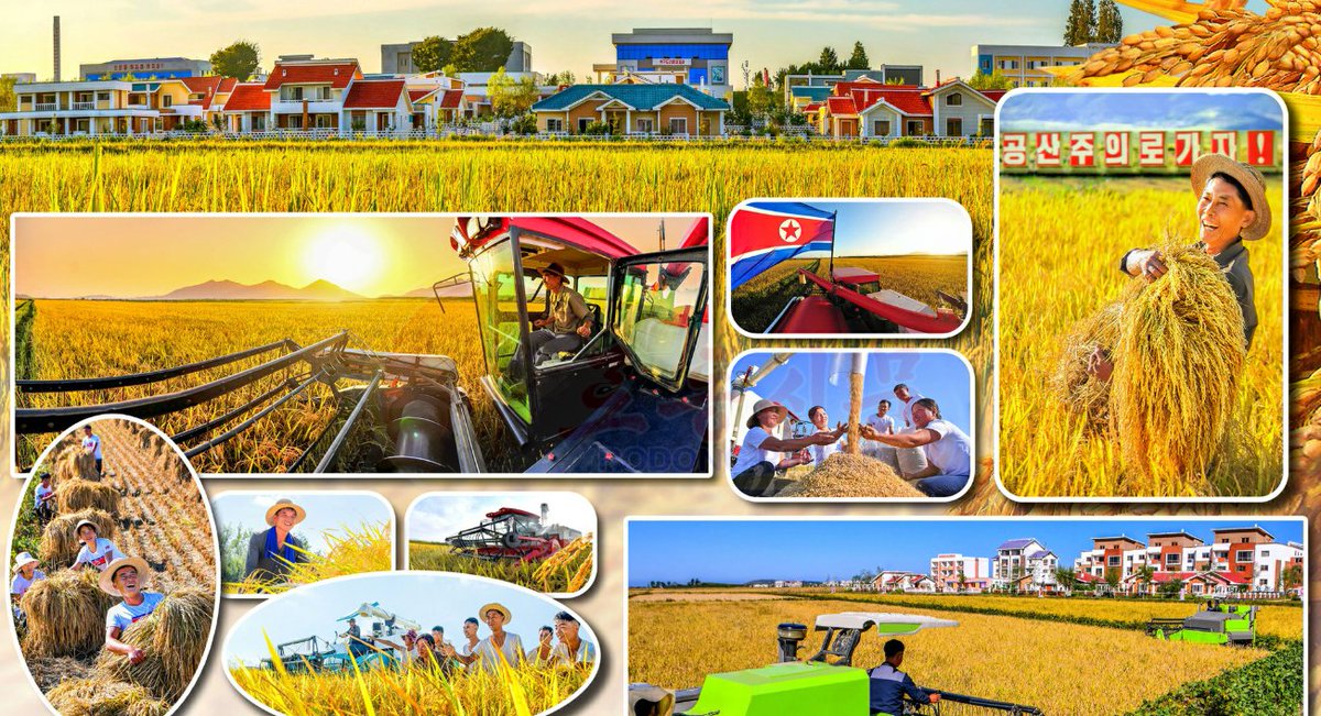 juche0071 tweet picture