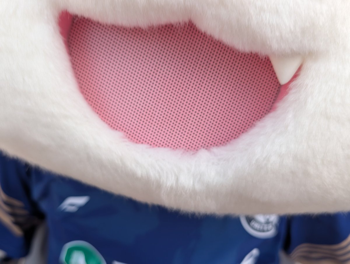 PKPN1987's tweet photo. あかん可愛すぎる https://t.co/gnvR0iijbs
