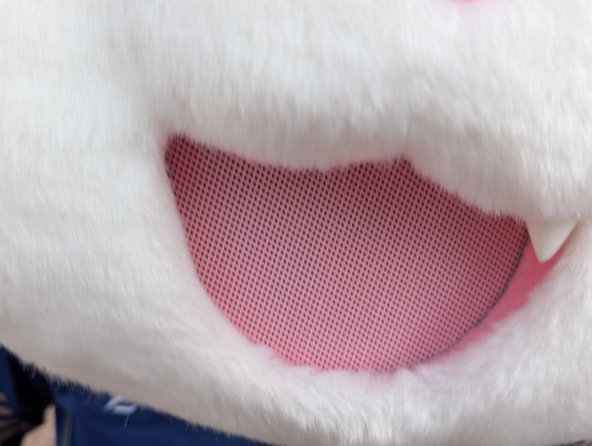 PKPN1987's tweet photo. あかん可愛すぎる https://t.co/gnvR0iijbs