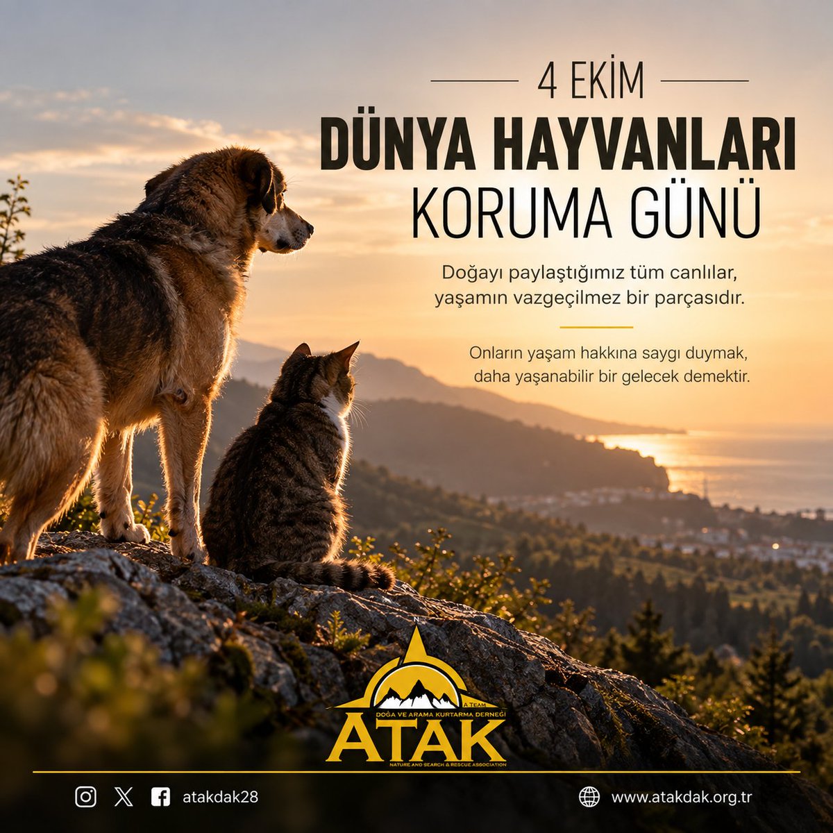 atakdak28 tweet picture