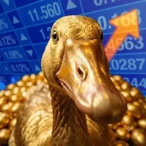 BinanceSiPro's tweet photo. Hold the gem. Stonk needs one Liquid Gold pair runner, and $GG Golden Goose looks perfect. 🪙🪿

It checks all the boxes. Stay patient, stay strong, and HODL. 🔥🚀

CA: Fcr5Ps2Rn6R6QjNSJCScWMhrGWvaU1t23R7UNv1iGDhk

@LaunchOnSF

#GoldenGoose #Stonk #LiquidGold #RealGold https://t.co/8T7oxmBJOW