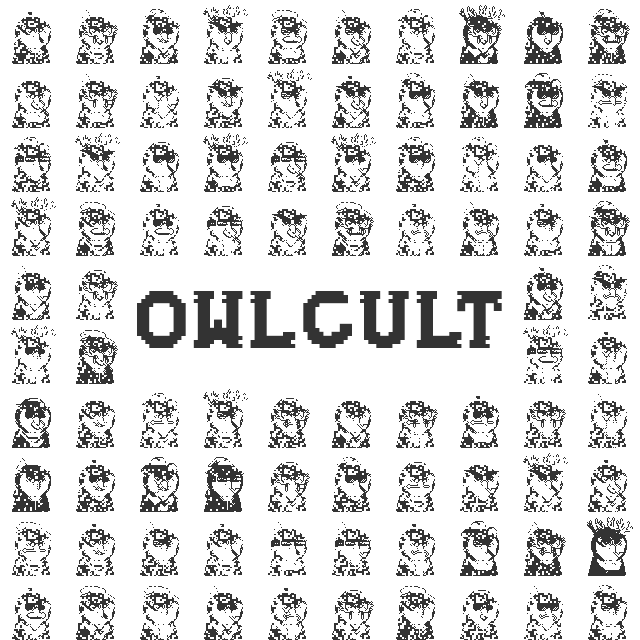 OwlCultNFT tweet picture