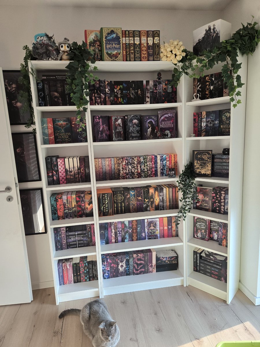 HauntingHana's tweet photo. Hab letztens alle Bücher die einen Farbschnitt haben umgedreht 👀 mein Regal ist plötzlich so bunt https://t.co/bWF06356OK