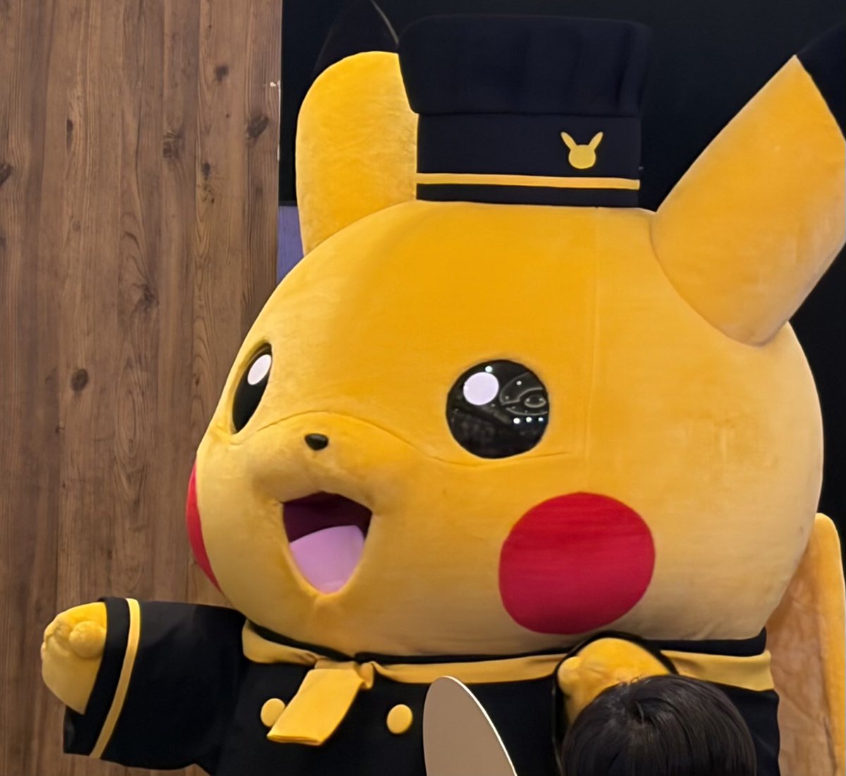 moonskydd's tweet photo. パティシエピカチュウやった！ https://t.co/5GdlBQZGNo