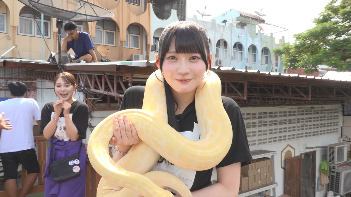 iginari_khb's tweet photo. ＼あすの #いぎなり放送中！ は…／

🇹🇭タイ旅を全力で楽しむ3人✨

水上マーケットで値切り交渉！？🛶
ヘビとのふれあいで事件発生！？🐍
さらに本場のタイ料理も満喫😋

📅10/11(日)午前10時30分📺
#いぎなり東北産 https://t.co/YRSvfBq9jG