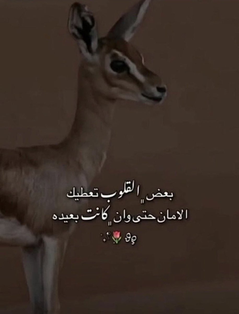 raaaed141's tweet photo. تقولين : العمر يمضي..ونبقى بالعمق أطفال
نبي حضن الأمان اللي يلم الشوق ويصونه

عسى عمرك فدا قلبٍ يشيلك في كِلا الأحوال
ويبشرك ب أمان … كل هالعواذل مايطالونه

يا أول مطاليب الغلا .. ياطيبة القلب و الفال
بيوت القلب لك مأمن و رمش العين من دونه https://t.co/a0c4nsHOzh
