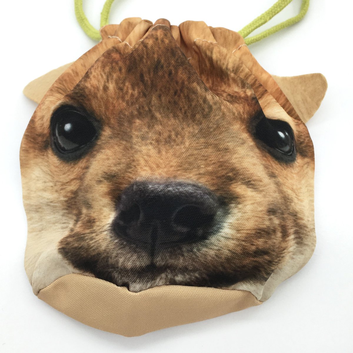 21c_iceage's tweet photo. THEDOG 페이스 파우치 입고 🩵 https://t.co/zTLU2QCDKf