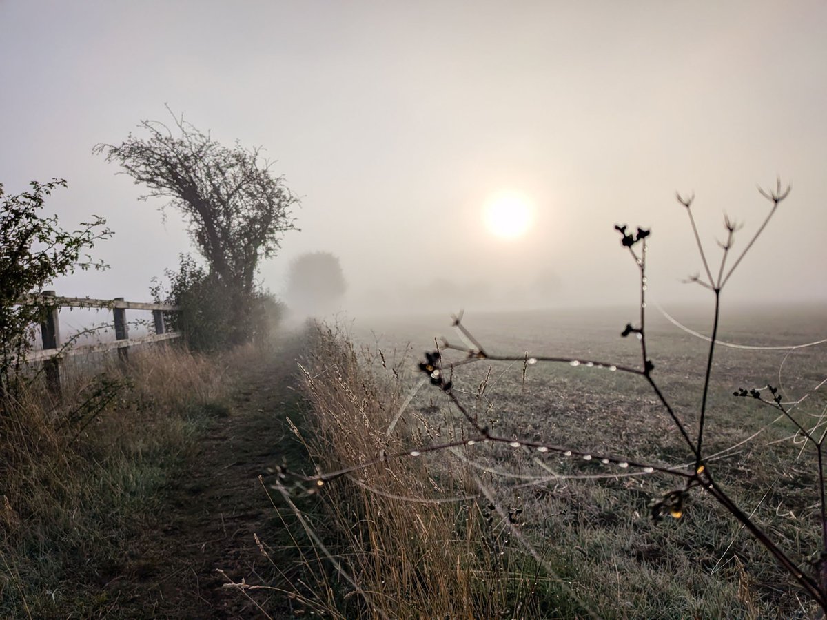 glynn_adams's tweet photo. A bit foggy this morning here in Somerset. 
#autumnal https://t.co/v8Uf1LcaIK