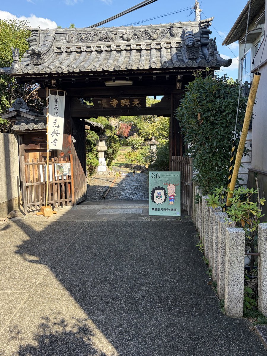 lan_ube's tweet photo. ずとまよ好きになって数年経ったが
初めてのライブ
昨日やったこと
・スタンプラリーを全て歩いて回る
・予算1万以内でZUTOMAYO MARTで買い物するもうっかり2万5千越えてしまう
・エポスカード��録
・伝雷ガチャと間違えゾンクラガチャを引きニラちゃんゲット
・席は爆死

#ずっと真夜中でいいのに https://t.co/AtsiSwHuGR
