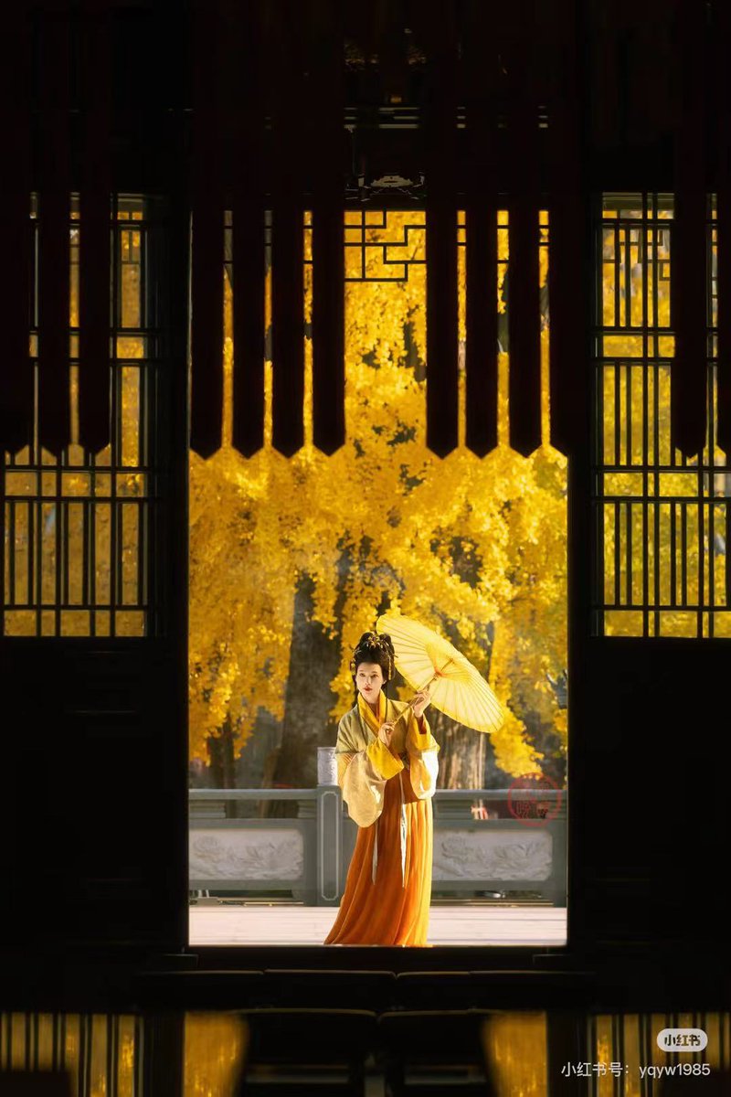 AmazingHanfu's tweet photo. Hanfu Check in | Shanghai, chasing golden autumn dreams. Baoguo Temple, a Ming dynasty style temple once honored Guan Yu(the Three Kingdoms general). Today, its 1074-year-old ginkgo turns golden each autum, welcoming Hanfu city walkers. Would you stop by this hidden gem? https://t.co/WonWN6zKBn