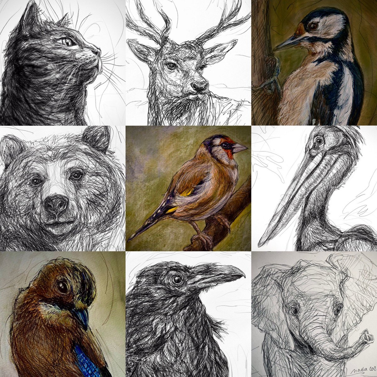 NadiaVanDessel's tweet photo. It ‘s #WorldAnimalDay today!♥️ #animals #animaldrawing #petportrait #artistsonx #drawing https://t.co/Zh2jNIW4C9
