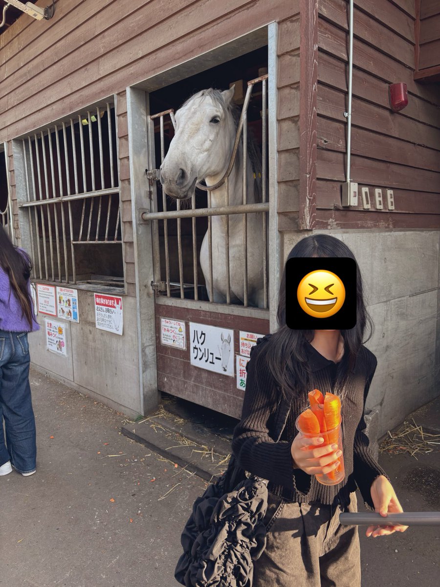 ark_here tweet picture