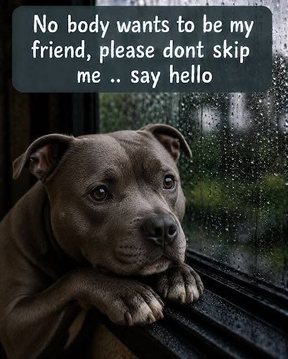 Paws_OfHope's tweet photo. https://t.co/xJa0eKY00b