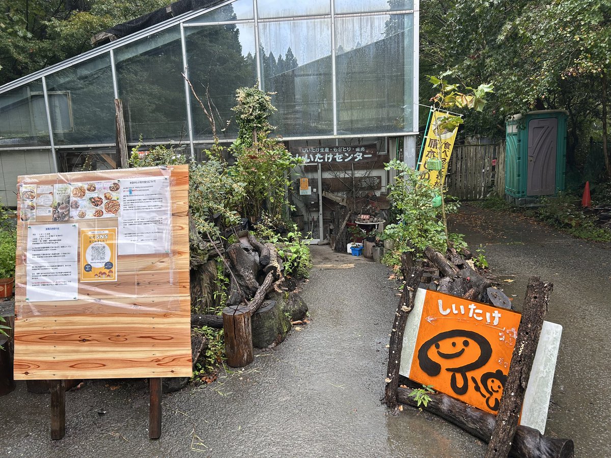 mickuroconsul's tweet photo. 今日は、高槻島本診断士の会の活動で、
高槻しいたけセンターへ。
https://t.co/3ptgNRrtVC

まずは、ワークショップの前に、しいたけ狩り🍄
今日の食卓を彩るかな😊

原木に育つしいたけを実際に見て、収穫してみると、
「つくる現場」を知ることの大切さを改めて感じます。

そして、ここで生産されているピオーネもいただきました🍇
これがまた、驚くほど美味しい。

その後は、今回の本題。
高槻しいたけセンターのInstagramを、どう活用していくか。

「誰に届けたいのか」
「何を伝えたいのか」
「どうすれば、実際に行ってみたいと思ってもらえるのか」

現場を見て、味わって、感じたことをもとに議論すると、
SNSの発信も、単なる「投稿の工夫」ではなく、
その場所の魅力をどう伝えるかという話になってきます。

地域の事業者さんの魅力を、
デジタルの力でどう伝えていくか。　

診断士として、こういう支援にも関われるのは面白いですね😊