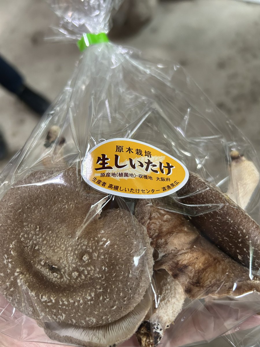 mickuroconsul's tweet photo. 今日は、高槻島本診断士の会の活動で、
高槻しいたけセンターへ。
https://t.co/3ptgNRrtVC

まずは、ワークショップの前に、しいたけ狩り🍄
今日の食卓を彩るかな😊

原木に育つしいたけを実際に見て、収穫してみると、
「つくる現場」を知ることの大切さを改めて感じます。

そして、ここで生産されているピオーネもいただきました🍇
これがまた、驚くほど美味しい。

その後は、今回の本題。
高槻しいたけセンターのInstagramを、どう活用していくか。

「誰に届けたいのか」
「何を伝えたいのか」
「どうすれば、実際に行ってみたいと思ってもらえるのか」

現場を見て、味わって、感じたことをもとに議論すると、
SNSの発信も、単なる「投稿の工夫」ではなく、
その場所の魅力をどう伝えるかという話になってきます。

地域の事業者さんの魅力を、
デジタルの力でどう伝えていくか。　

診断士として、こういう支援にも関われるのは面白いですね😊