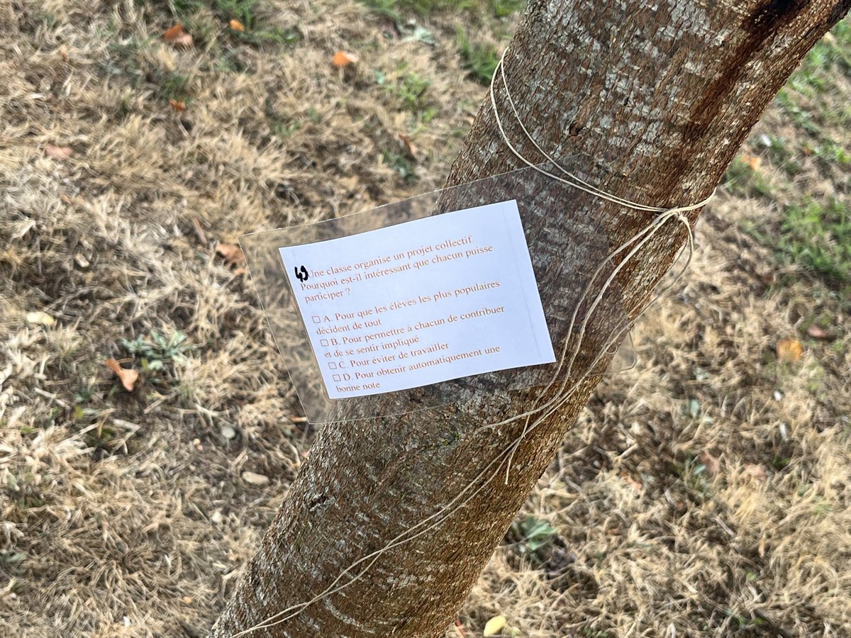 clgstexupery61's tweet photo. Dans le cadre des parcours éducatifs, notre première journée parcours s’est déroulée ce vendredi 2 octobre.
Une journée dédiée à la citoyenneté, au climat scolaire, à la prévention contre le harcèlement et aux compétences psychosociales qui a mobilisé l’ensemble des personnels. https://t.co/tCAFPLNHdC
