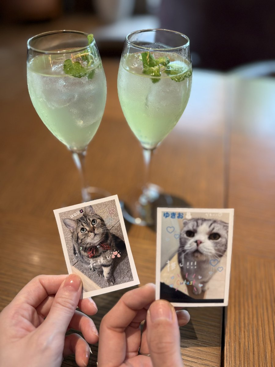 go_eight_go's tweet photo. ゆきおくん⛄️(昨日）
旦那氏ハピバス(ё)🎉🎉🎉 https://t.co/J2fopvUnwi