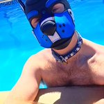 Photo by Stripes 🦓🐶 (@PupStripes)