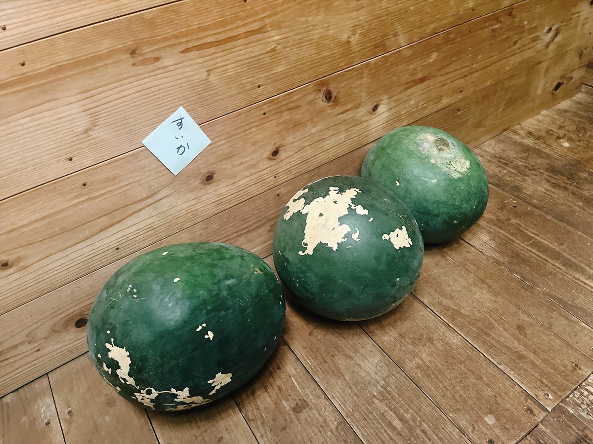 negisiva's tweet photo. このカボチャみたいなのが島スイカです🍉 https://t.co/5p3TGlLSNM