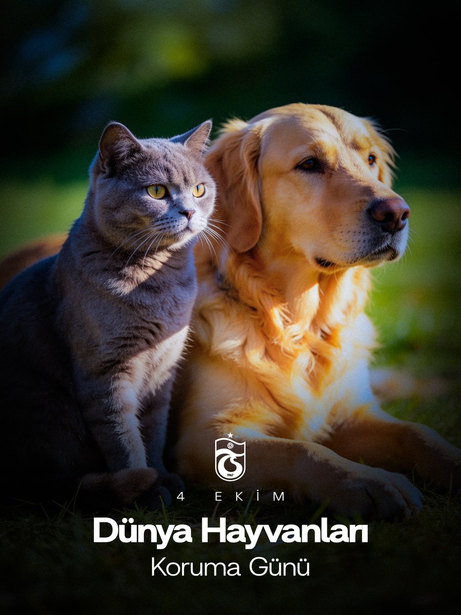 Trabzonspor's tweet photo. Aynı dünyayı paylaştığımız tüm dostlara sevgiyle.

4 Ekim Dünya Hayvanları Koruma Günü kutlu olsun 🐾 https://t.co/2ScOSNqZqO
