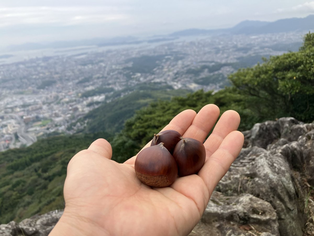 TTMM_toworu's tweet photo. 山の上でボーッと工場から出る煙を見てたら登山されてる方から栗を頂きました。
なんだか嬉しくてモンブラン日和です。 https://t.co/LnIvMRU9VD