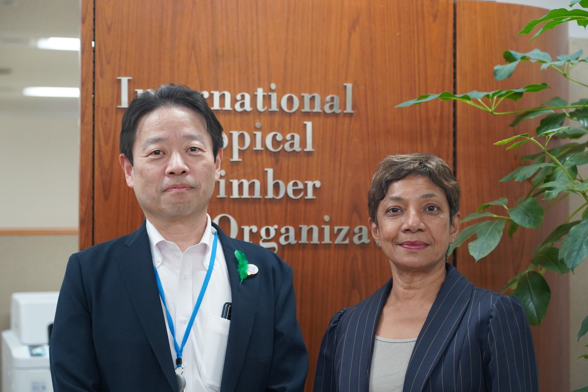 itto_sfm's tweet photo. 🌳 🇯🇵 ITTO Executive Director Ms Sheam Satkuru met with the newly appointed Director-General of the Forest Policy Planning Department of @rinyajapan Mr Kenji Mochizuki, and expressed appreciation for Japan’s longstanding support for ITTO.

🔗 Read more: https://t.co/MAJq9fDxBW https://t.co/Askzy51hRc