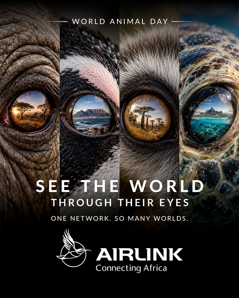 Fly_Airlink's tweet photo. This World Animal Day, see the world through their eyes โจ
Across Airlinkโs network, every destination opens a window onto a different world.
Book flights at: https://t.co/cagaKo6zZQ
#Airlink #FlyAirlink #FlyTheLink #Skybucks #WorldAnimalDay https://t.co/9OaPaJKC8N
