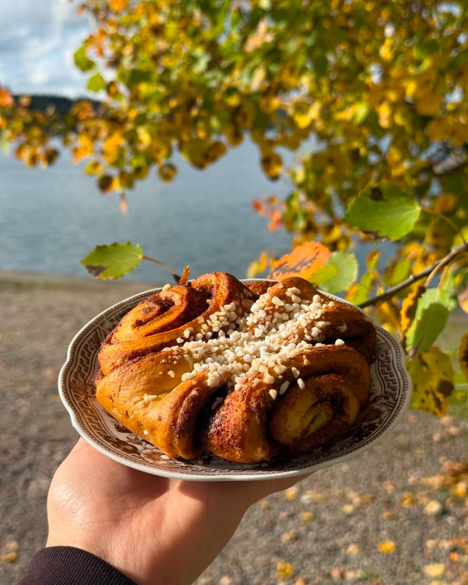 visitfinlandjp's tweet photo. 😋今日10月4日はシナモンロールの日。

みなさんはフィンランドのシナモンロール食べたことありますか？

📸 Kahvila Kariranta 
https://t.co/HOlMPYFxWi https://t.co/FMAbfEomuA