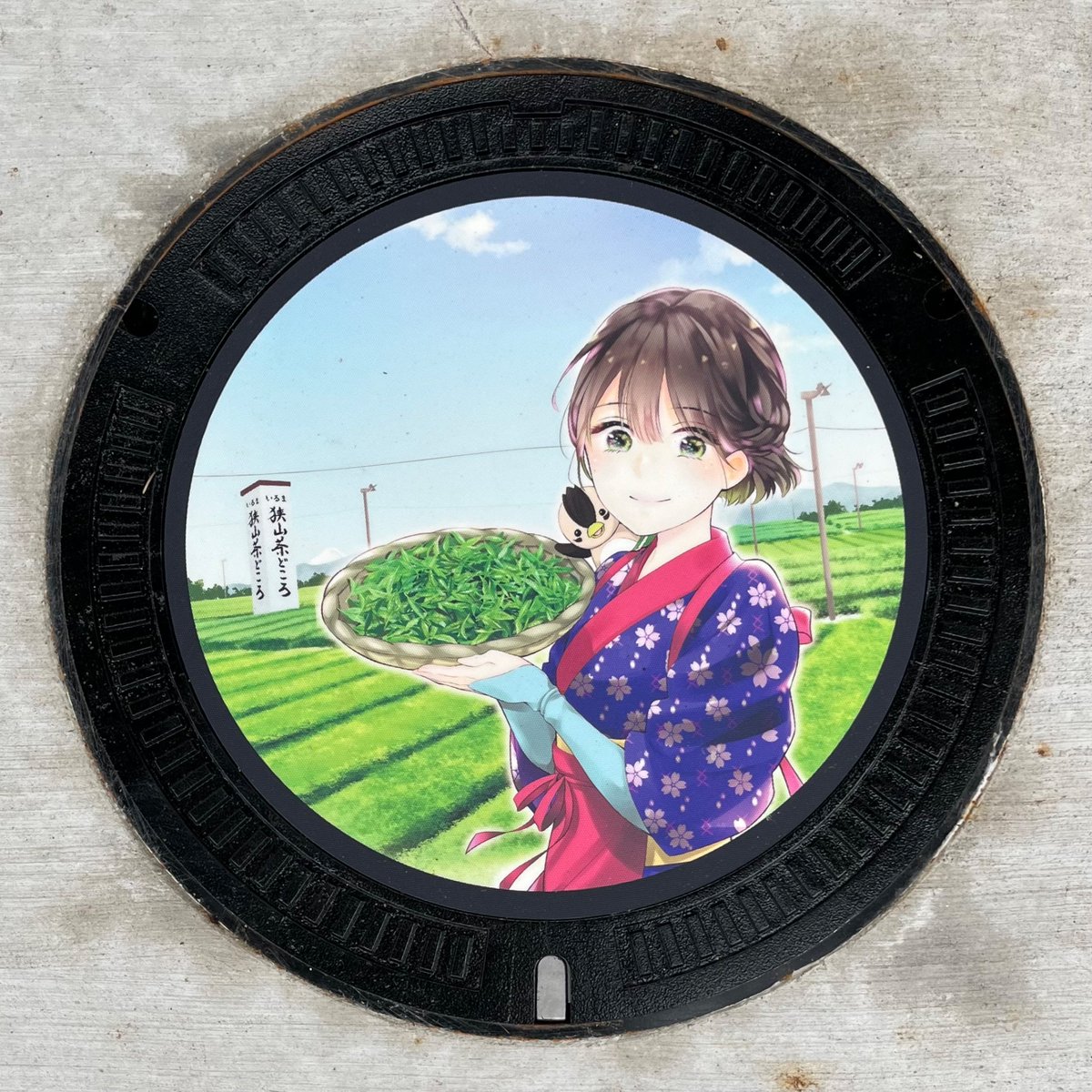 azurite_year's tweet photo. いるティーと茶娘のマンホールも。
らびゅーくんの足取りがチマチマしてて可愛かった。 https://t.co/L7ax3kbbc9