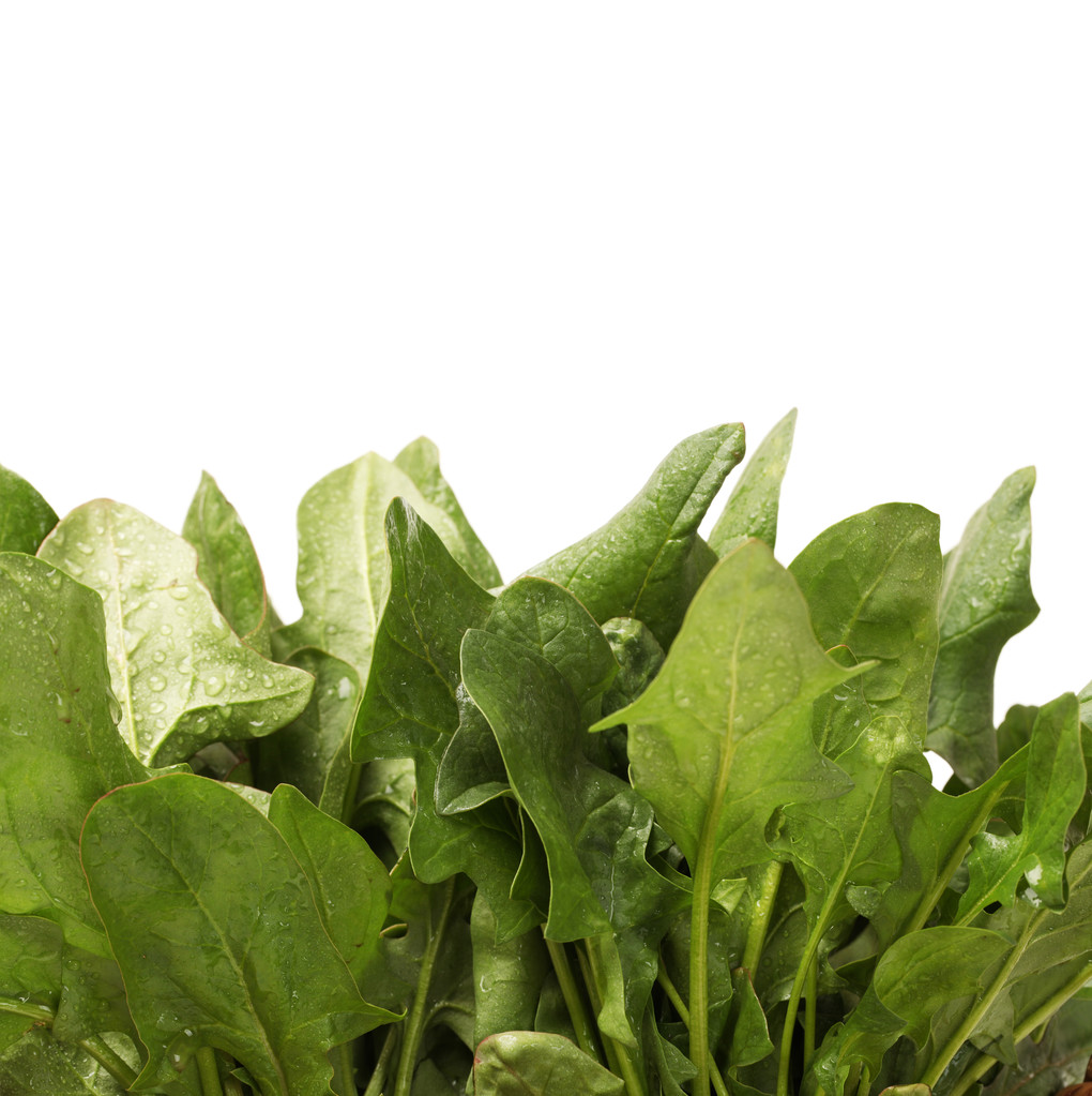 Libradaqjl's tweet photo. Prueba mis espinacas baby frescas! Crunchy, llenas de hierro y perfectas para ensaladas o smoothies. Sabor natural sin amargor  #IngredientesSaludables， https://t.co/udApPYnuT1