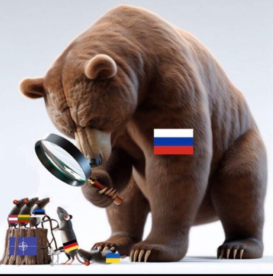 castanea07's tweet photo. @drumheadberlin Das macht mir Angst. 
Die wollen uns in einen Krieg treiben. 
Und es geht immer nur um Geld. Menschenleben zählen nicht. https://t.co/LX8WcmHtSC