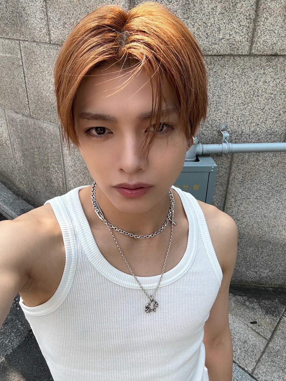 𝗪𝗜𝗟𝗗 𝗕𝗟𝗨𝗘 (@wildblue_ykme) / X