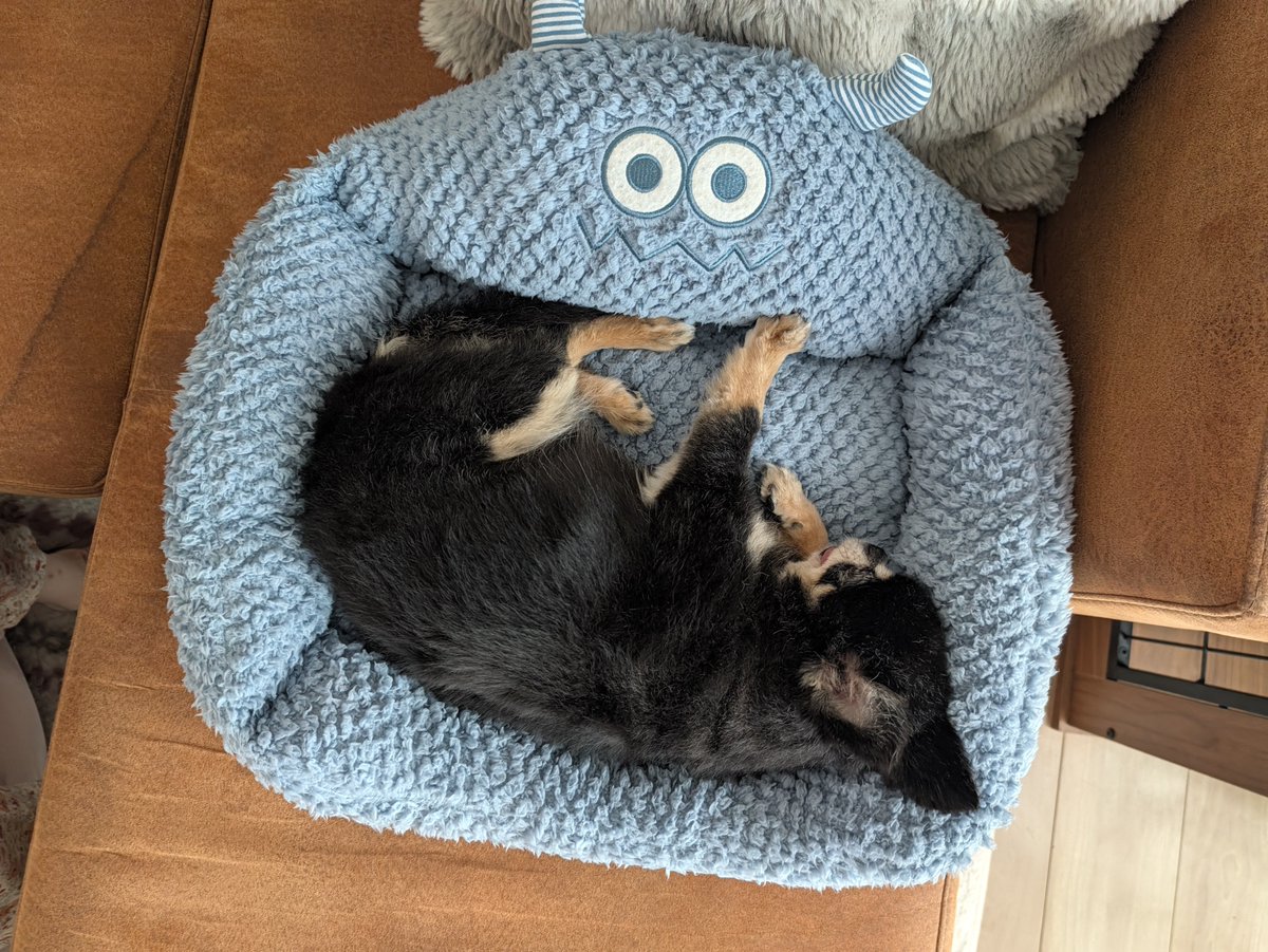 mioicgj's tweet photo. 😪 https://t.co/6xmNc4SPlL