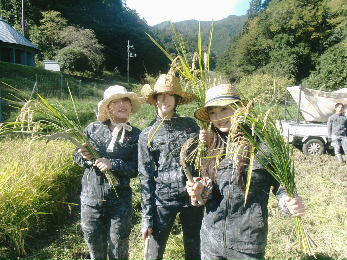 himechi_bbluv's tweet photo. 稲刈りしましたーーー！！！

世界を目指して音楽をしながら、
京都でお米も育ててます。

19歳、自給自足バンドです！！

来年は自分たちで作ったお米と炊飯器を持って、ツアーを周りたい！！！

私たちらしく、いろんなことに挑戦しながら
もっともっと大きくなります！

丸竹夷、以後お見知りおきを https://t.co/ZvHlNxmvL9