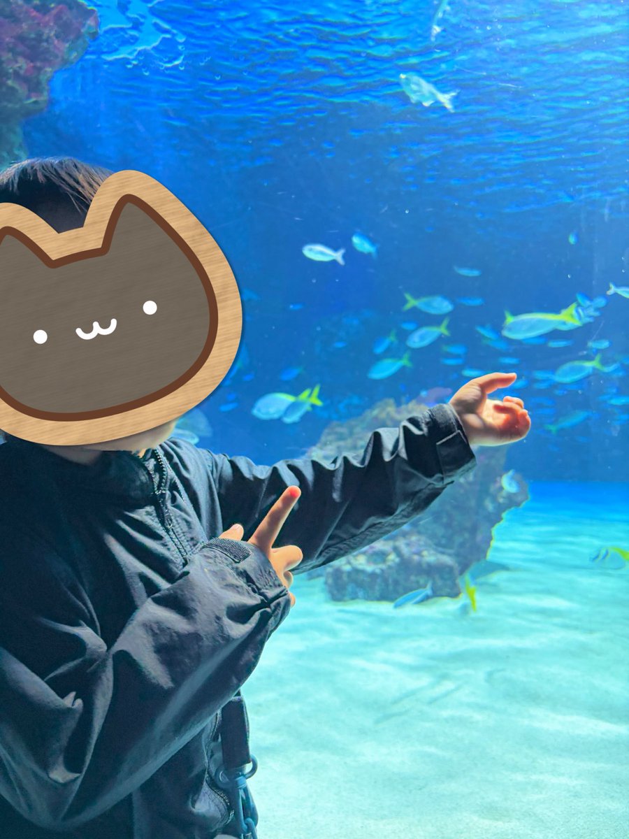 PD_handmade0122's tweet photo. 楽しんできた🐧🐟🪼🐠 https://t.co/l8GnvKlbMK