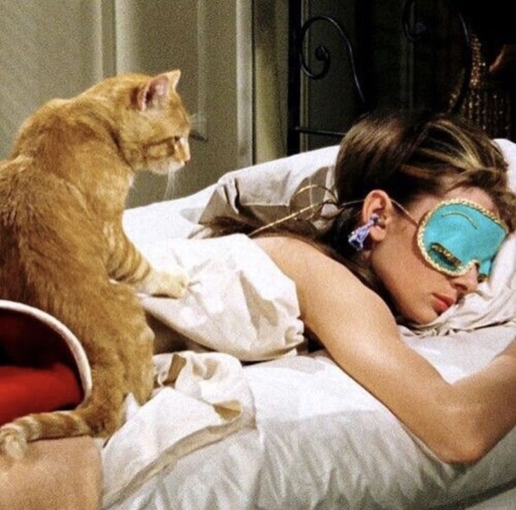lilacribvon's tweet photo. how my pinterest sees me:

🪽fashion

🪽pantone

🪽mood

🪽food https://t.co/jSHX6ztr0x
