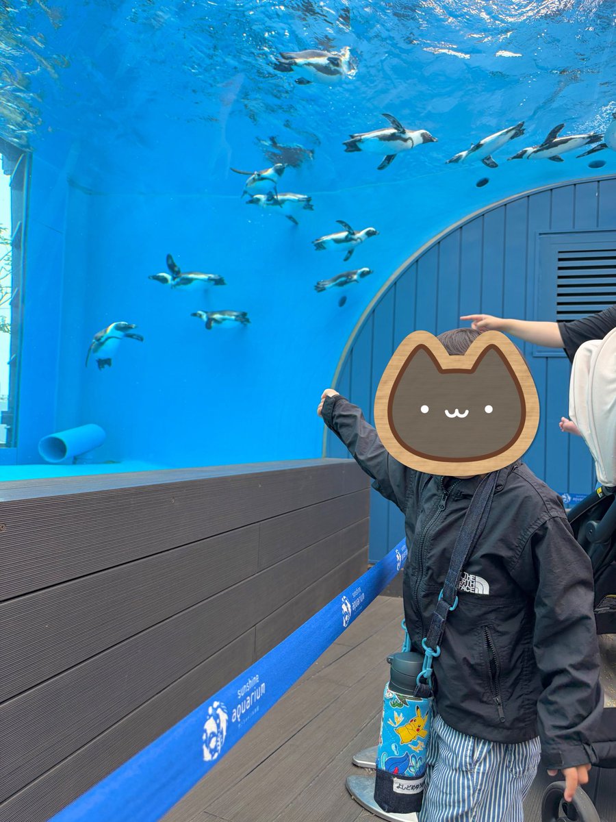 PD_handmade0122's tweet photo. 楽しんできた🐧🐟🪼🐠 https://t.co/l8GnvKlbMK