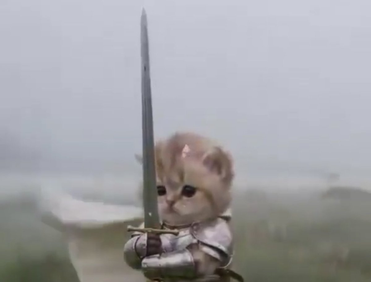 Butt_milk_'s tweet photo. $knightcat dumping
$swordcat is going to fly https://t.co/BOk1Pd20cK