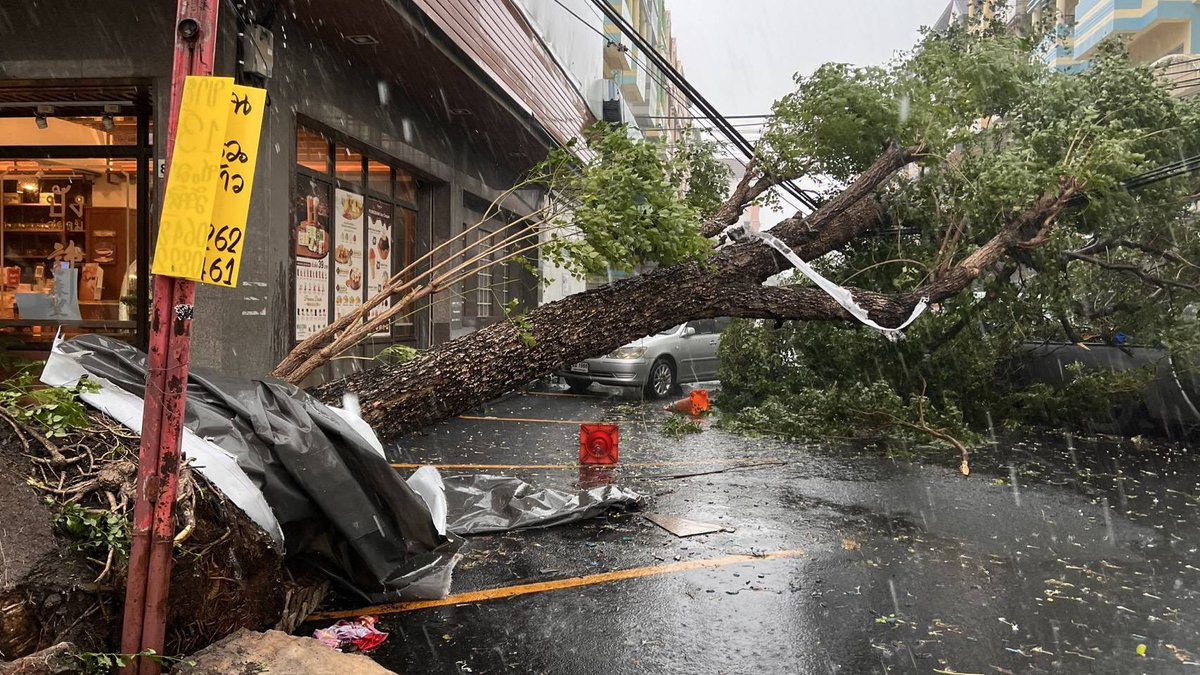 Moom4295's tweet photo. ลาดพร้าววังหิน ฝนตกหนักมาก ต้นไม้ใหญ่ล้มเลย
4.10.69 https://t.co/7NfvALjNYf