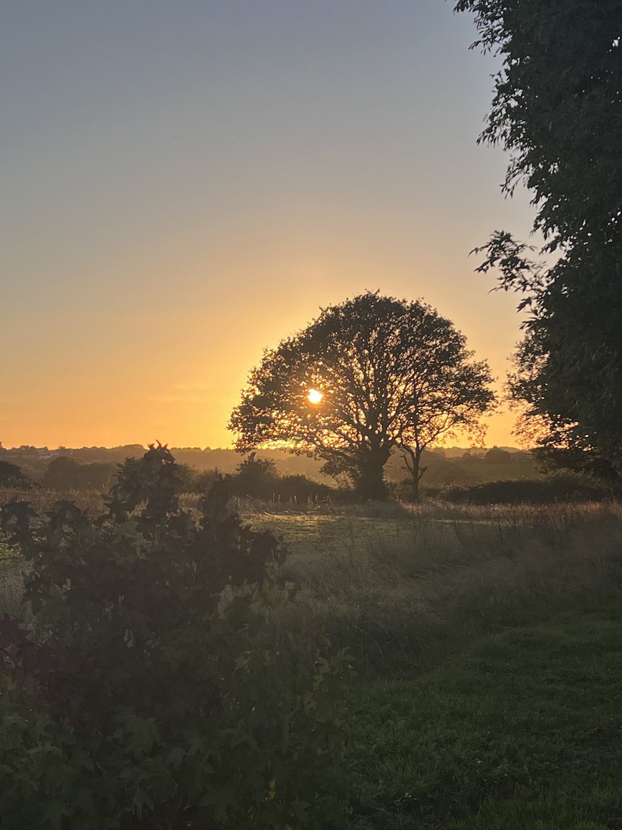 GardenerFliss's tweet photo. Farming is rather more than a job. For me, it’s a love of the land, a connection to the seasons and a deep sense of responsibility for the countryside we’re so fortunate to call home. https://t.co/V49DdKWI9G