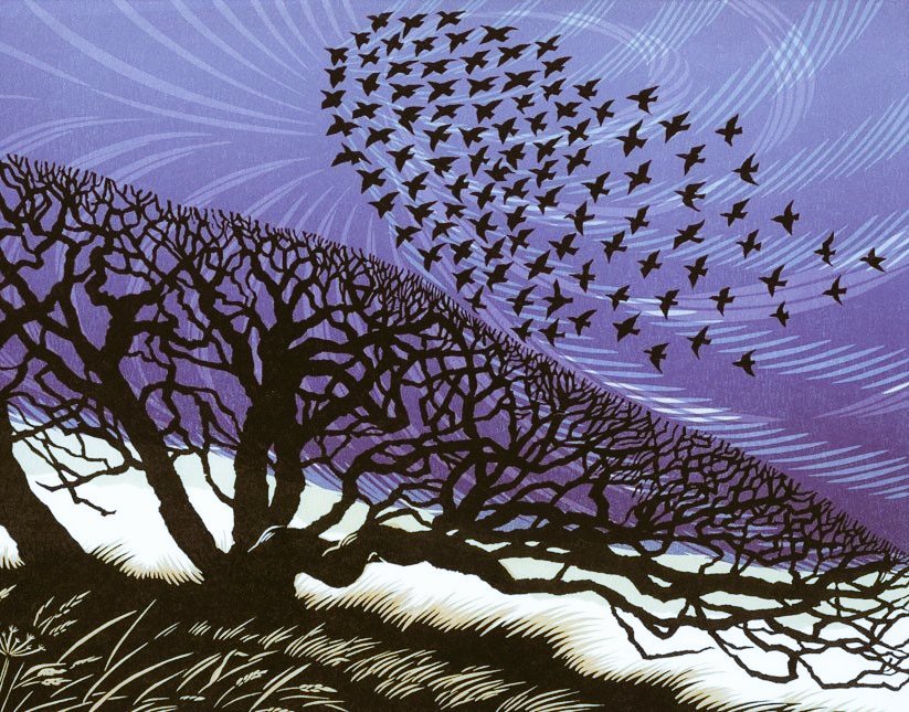 womensart1's tweet photo. 'Storm light' by UK contemporary printmaker Nikki Bowers #WomensArt https://t.co/FaDDS9h3YA