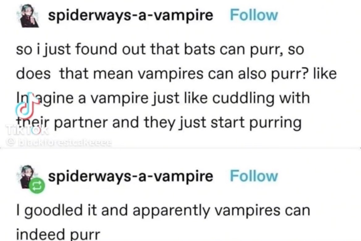 rckyzb's tweet photo. Imagine vampire ricky purring in gyuvins arms https://t.co/dHeYT2u5r9