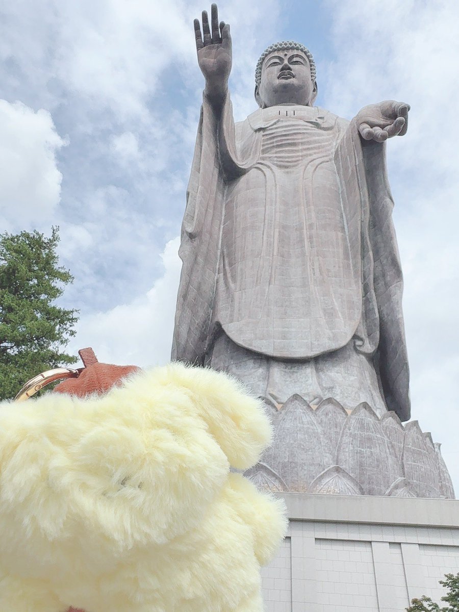 yue_ko0's tweet photo. 結婚式参列に合わせてプチ旅行してきた！
産後初めて、久しぶりな友人と旅行🐠🫧
２日間楽しすぎる土日だったな(*´꒳`*)

たいさんへ　本当にありがとう大感謝🙏
お土産は1回で取れためぐるだよ💛 https://t.co/rXLkr3UHLN
