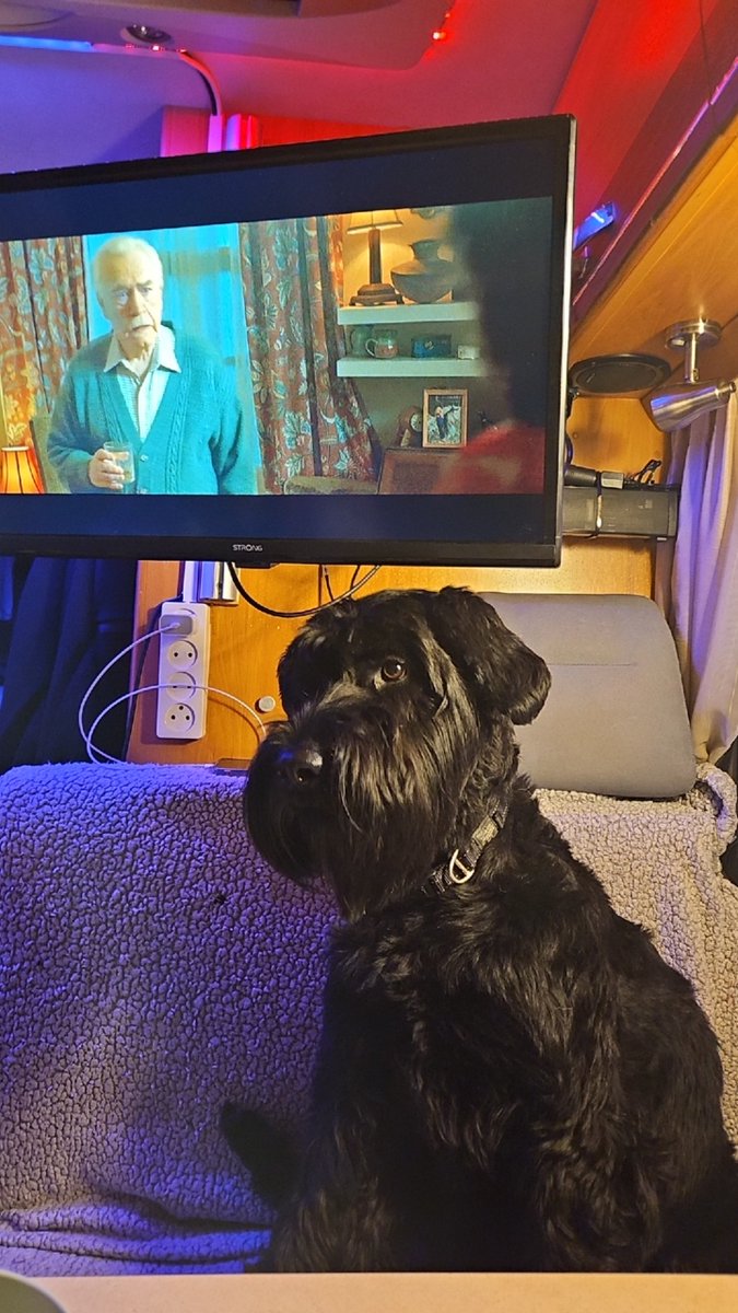 BlondieInu's tweet photo. @Lakes_on_motion Beard check. ✅
100% real Blondie. 😎🐾
BEARDINU didn't invent the beard.
The beard invented BEARDINU.
🌐 https://t.co/VjC2JFRrhE⁠� https://t.co/nU7qoDaS1V