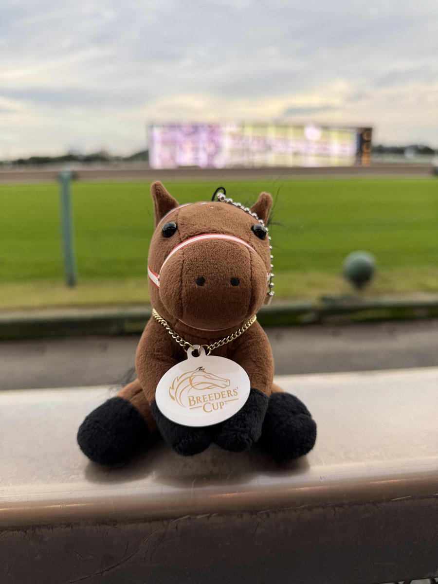 tjuta0210's tweet photo. あなたがここで走ることはないね...
#フォーエバーヤング https://t.co/yECX21tFNF