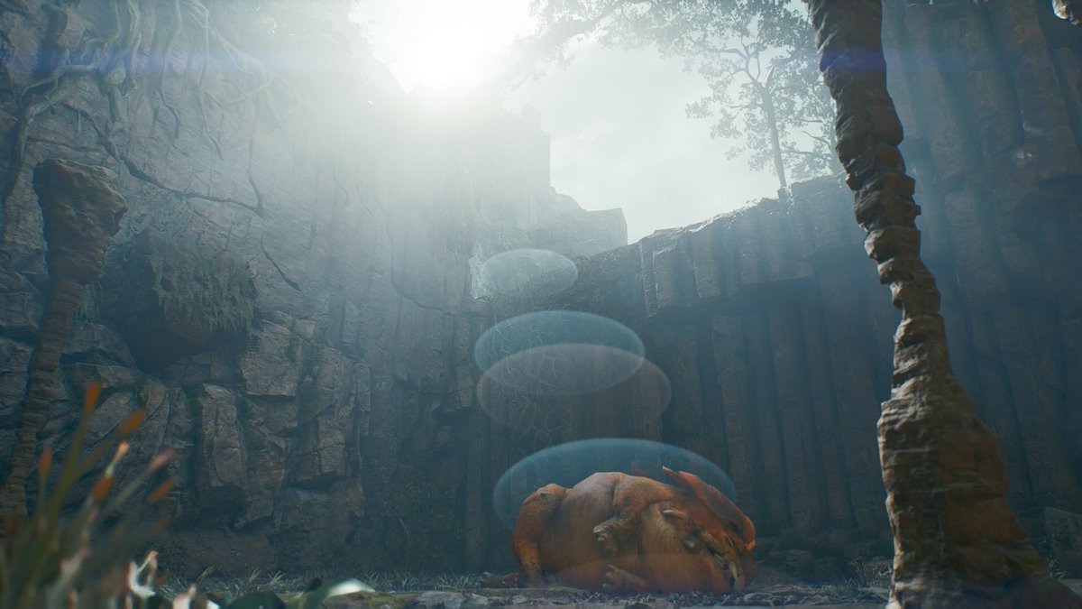 Grimmlck_gaming's tweet photo. Wild Life Explorer 

#StarWarsJediSurvivor 
#Tps
#VirtualPhotography
#ThePhotoMode
#VPRT
#VPTree 
#VPCommunity 
#VPGUnite
#VPInBW 
#TheCaturedCollective 
#LandofVP 
#VPWorld
#SundayRelaxation 
#Grimmlckgaming https://t.co/oP5Te7YX2r