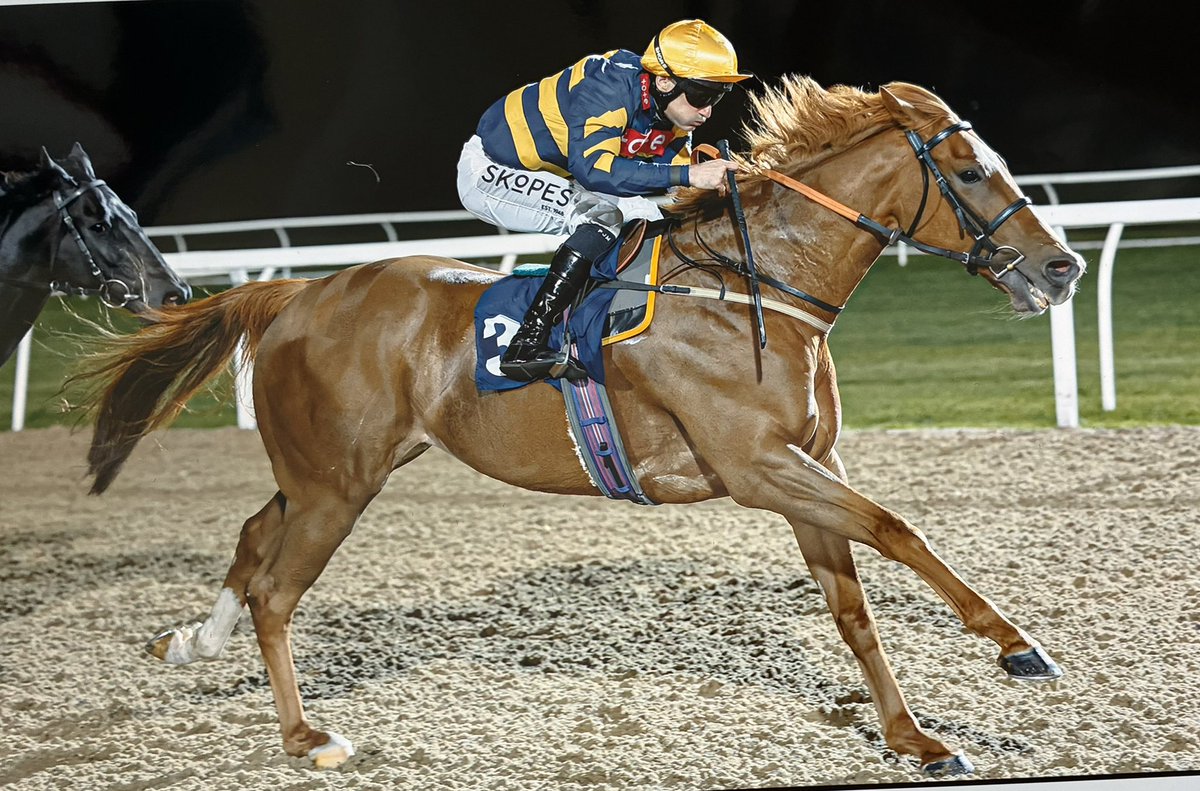 BryanSmartRacin's tweet photo. Fab pic of Blazing Son winning for The Smart Emblaze P’ship. It’s been a brilliant few weeks, 4 🥇 inc the Ayr Silver Cup, 3 🥈+🥉& we have already = last year’s winners. A quiet week as we look to the Tatts Yearling Sales. If you’d like to be a part of #TeamSmart get in touch!! https://t.co/OoWEKxrKr0