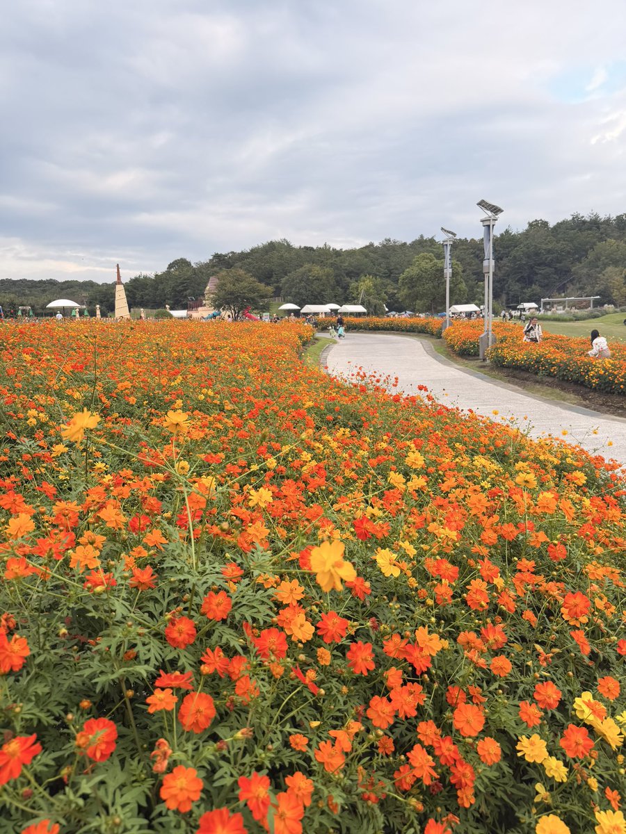 RARE___photo's tweet photo. 本日もありがとうございました🏵️！ https://t.co/kMH55FmWqm